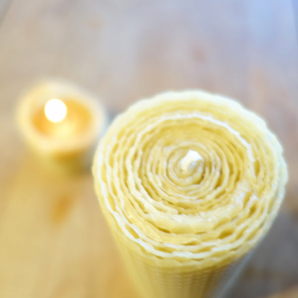 Mid Size Beeswax Pillar
