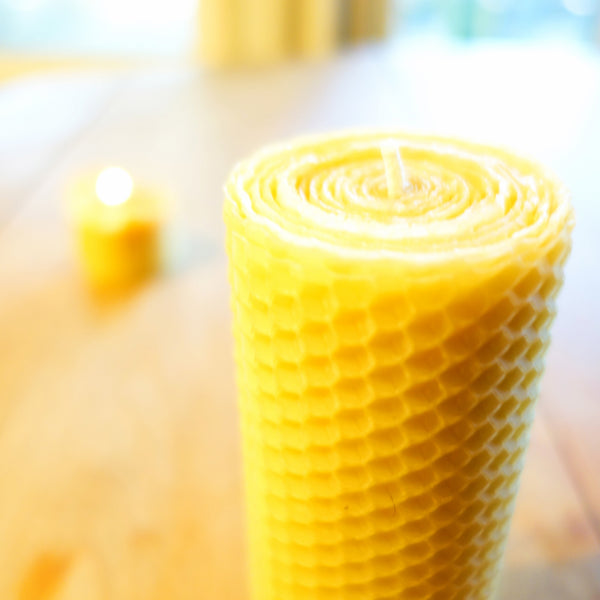 Mid Size Beeswax Pillar